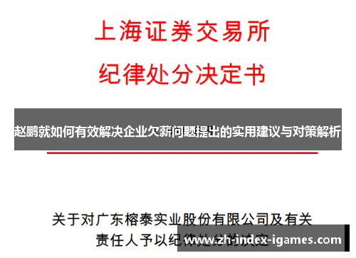 赵鹏就如何有效解决企业欠薪问题提出的实用建议与对策解析 赵鹏就如何有效解决企业欠薪问题提出的实用建议与对策解析