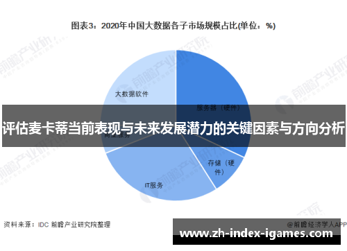评估麦卡蒂当前表现与未来发展潜力的关键因素与方向分析