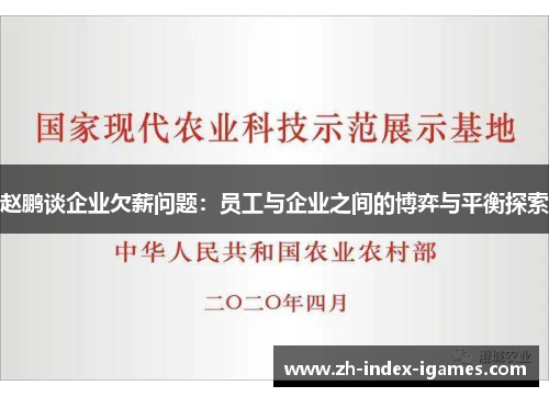 赵鹏谈企业欠薪问题:员工与企业之间的博弈与平衡探索 赵鹏谈企业欠薪问题:员工与企业之间的博弈与平衡探索